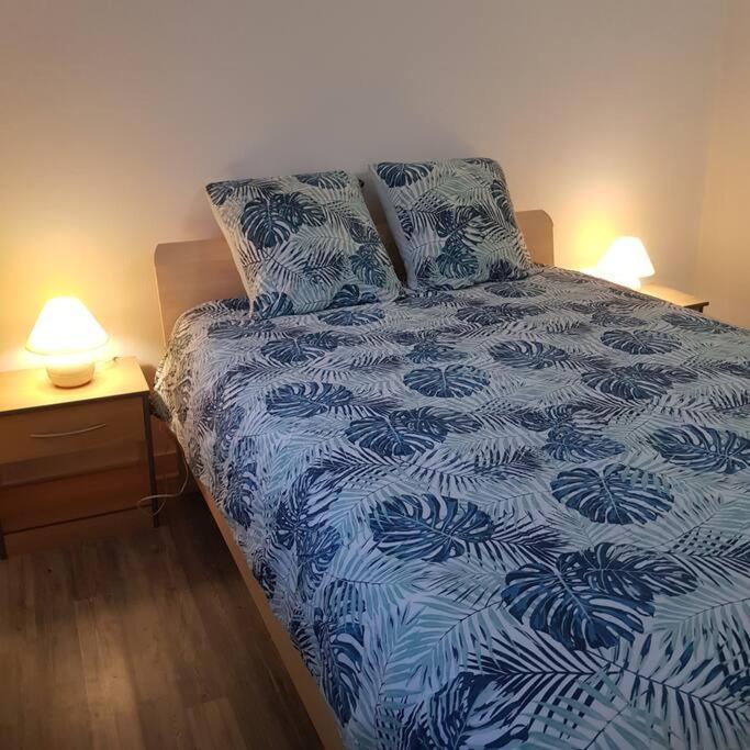 Chez Nino Wifi Gratuit Βίλα Beaulieu-sur-Loire Εξωτερικό φωτογραφία